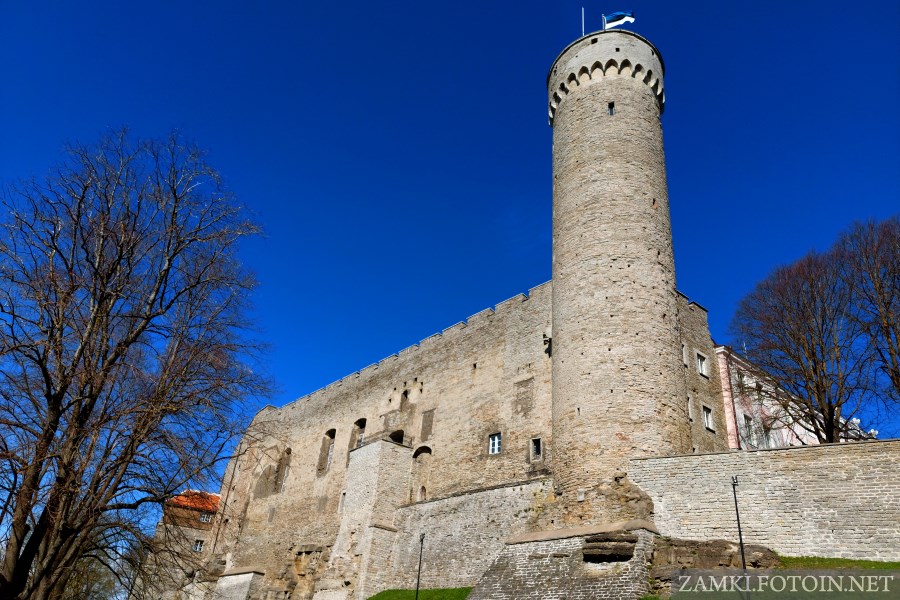 Zamek Toompea w Tallinnie