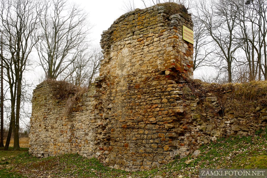 Ruiny zamku w Fałkowie
