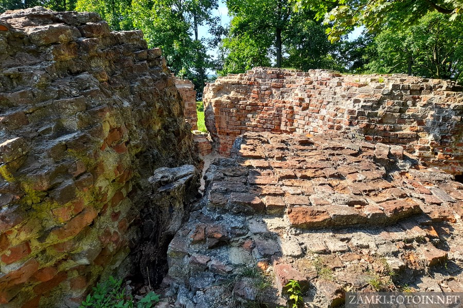 Ruiny zamku w Wąbrzeźnie