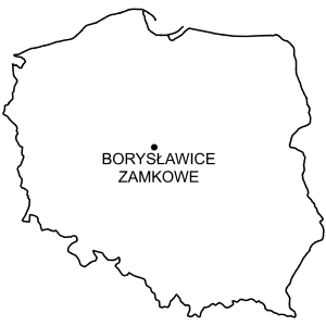Mapa Zamek w Borysławicach Zamkowych