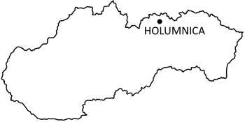 Mapa Zamek w Holumnicy