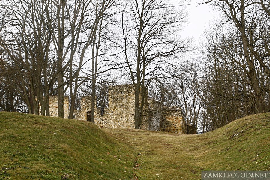 Ruiny zamku w Bąkowej Górze